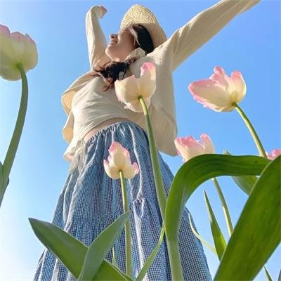 甲贺忍法帖第一季